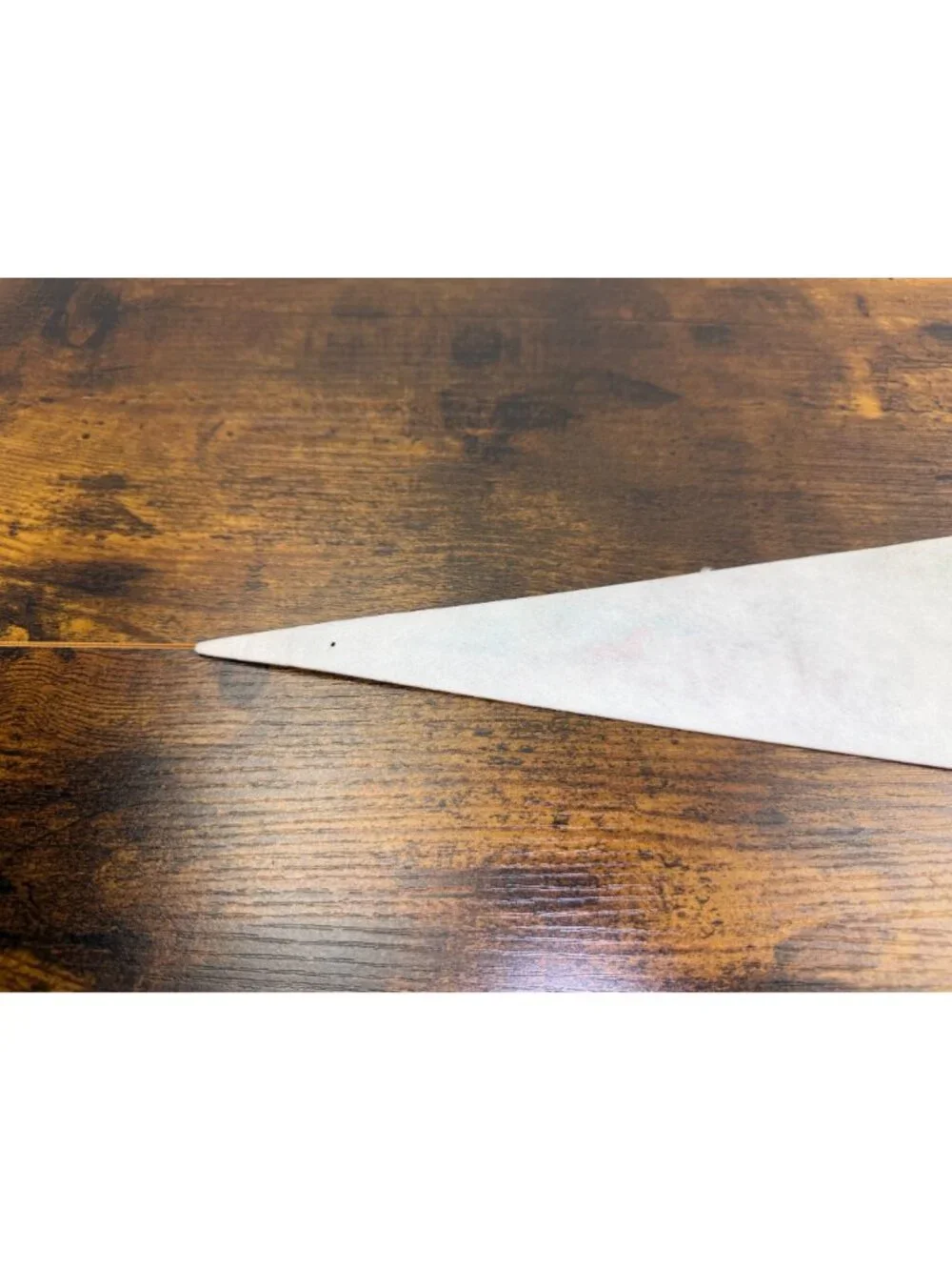 Vintage Charleston SC Felt Pennant 14 inches